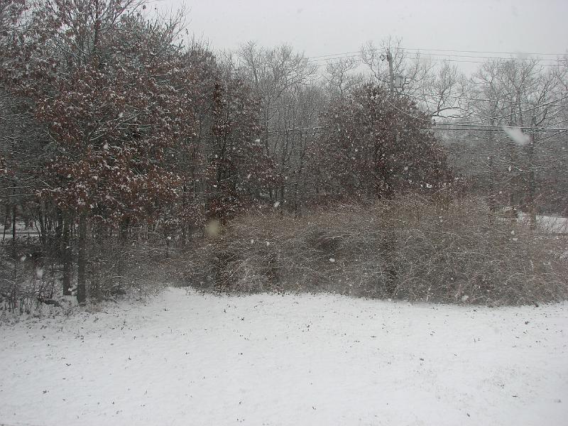 2008-12-07_First_Snow 035.jpg